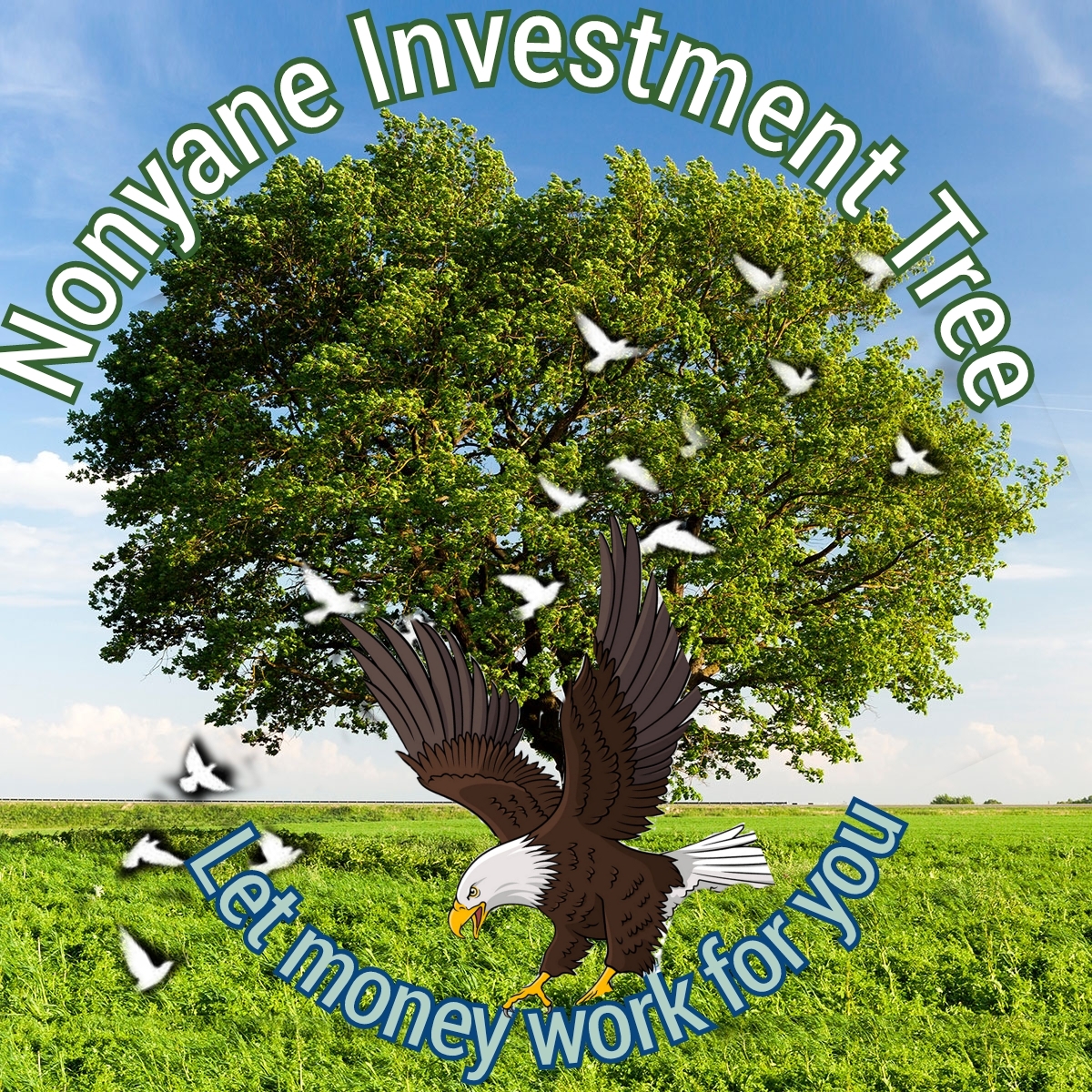 House of Nonyane Studios Logo